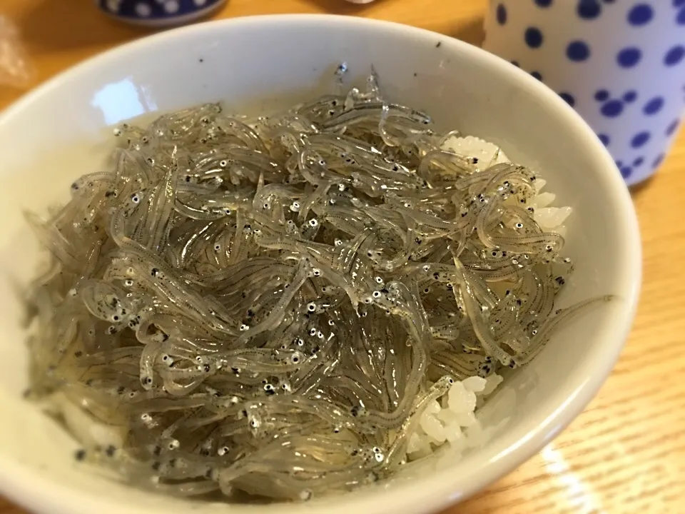 生しらす丼|けんママさん