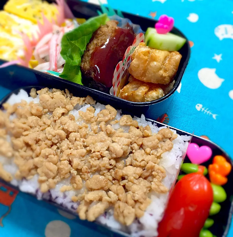 時間無くて焦った^_^;    昨日の豆腐ハンバーグと作り置きの鶏そぼろで助かったお弁当♪|Akemi Satoさん