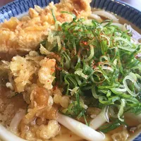 Snapdishの料理写真:讃岐うどん