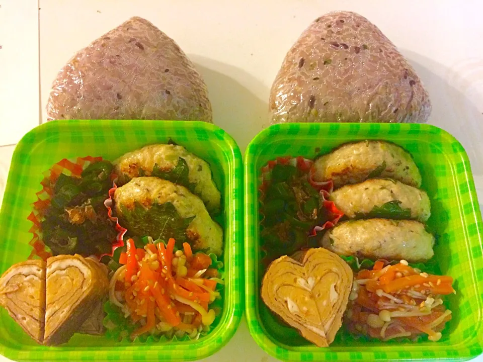 Snapdishの料理写真:お出かけ弁当|pojiさん