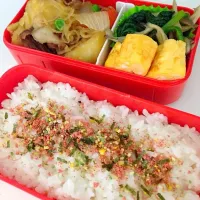 肉じゃが弁当|かおりさん