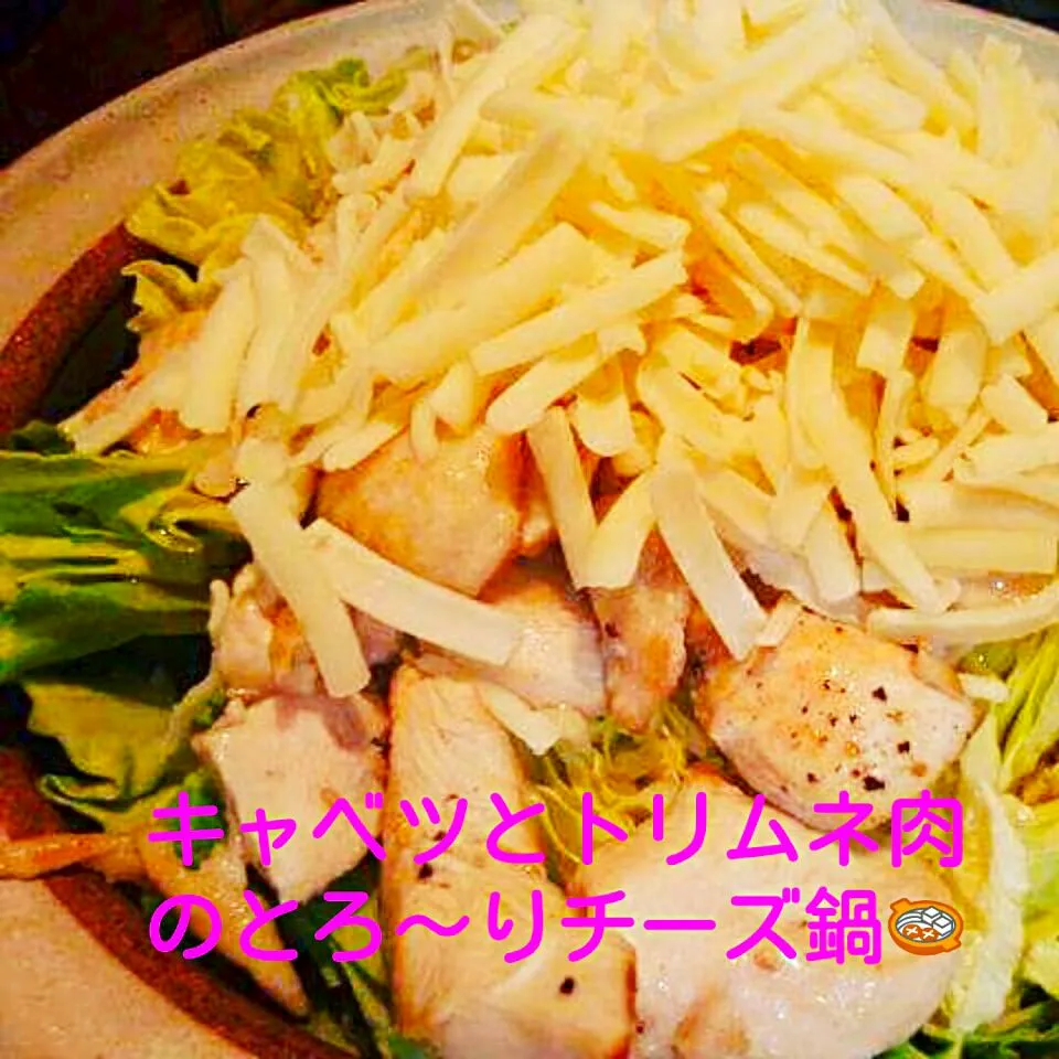 トリムネとキャベツがチーズでトロリと美味しくなっちゃう鍋料理です。
 #チーズ鍋|Noriko Teraokaさん