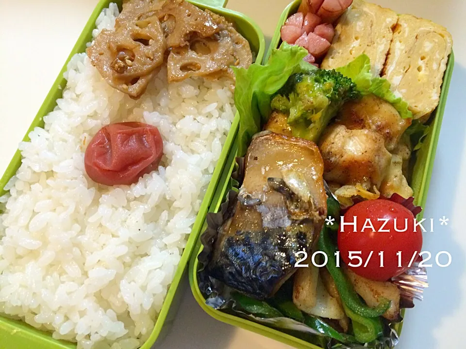 11月20日(金) 高校生息子①弁当🍱|Hazukiさん