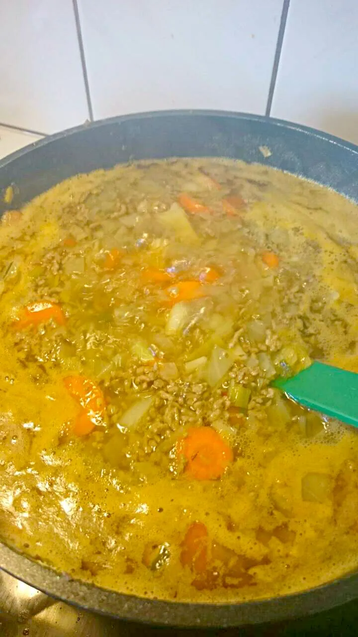 Ground beef cabbage carrots parsnips soup|Emmelineさん