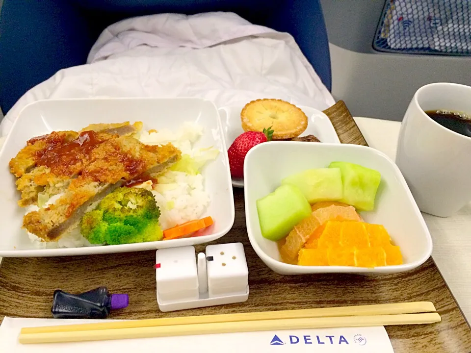 Snapdishの料理写真:デルタ航空 二食目|Megumi  🅰さん