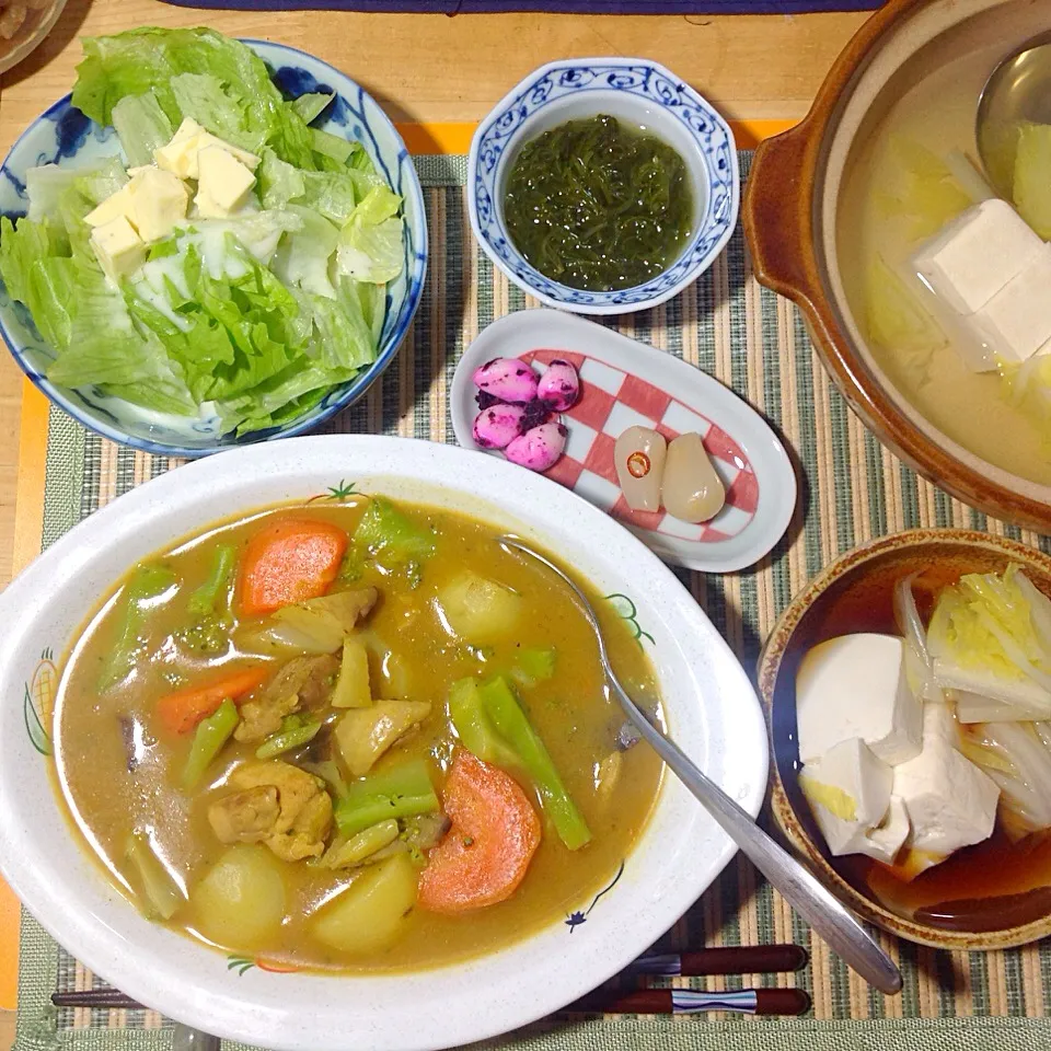 晩ご飯
・スープカレー
・湯豆腐
・サラダ・・レタスとチーズ
・めかぶ
・らっきょ、ニンニク|shozuuさん