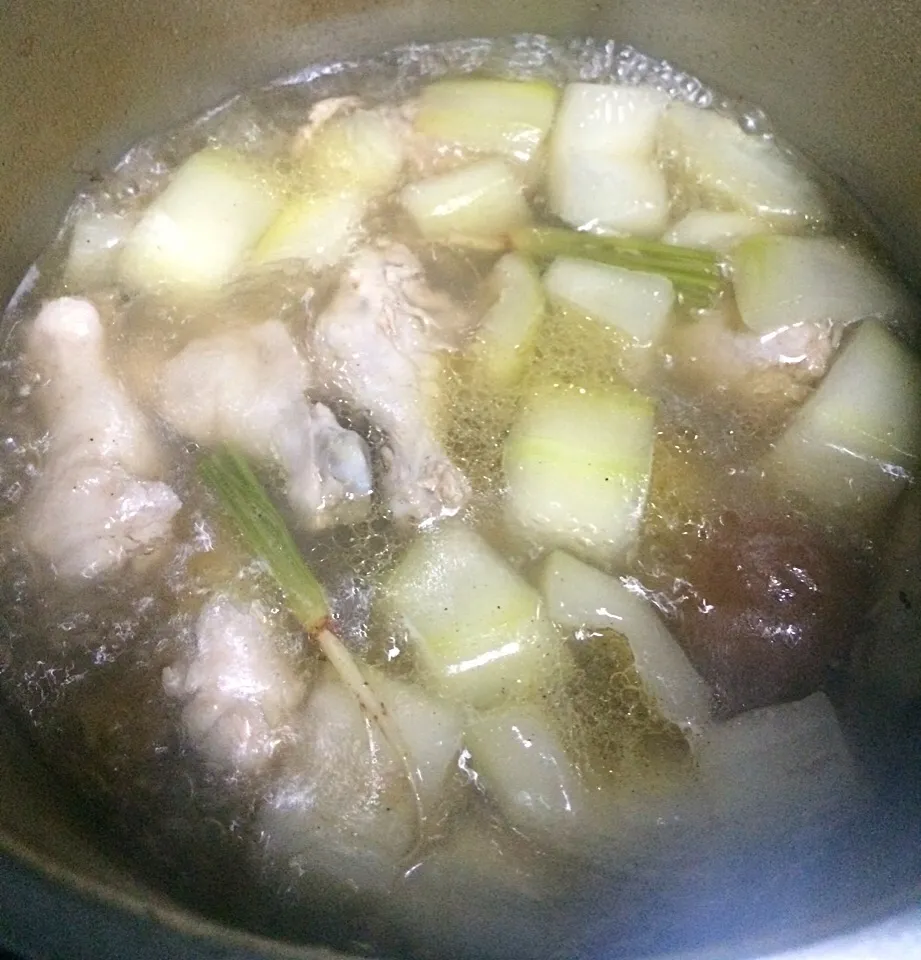 Winter melon with pickle lime soup
แกงจืดไก่ตุ๋นฟักมะนาวดอง|SaSaさん