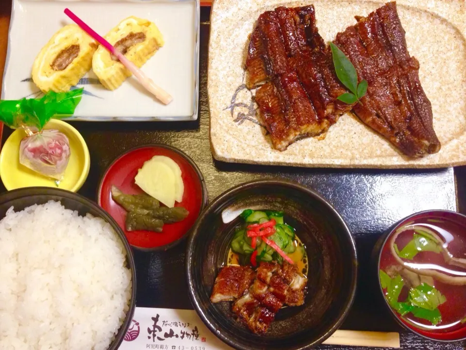 鵜方 東山物産でCP最高のうなぎ定食|kctreeさん