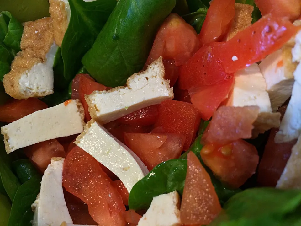 Tomato tofu salad!|nicole s.さん