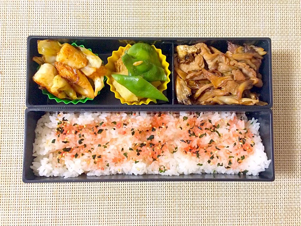 Snapdishの料理写真:本日のお弁当|satchさん