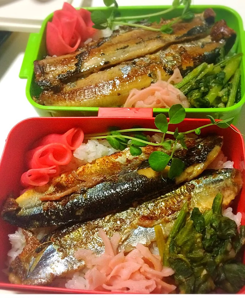 Snapdishの料理写真:さんまの梅煮弁当|佐野未起さん