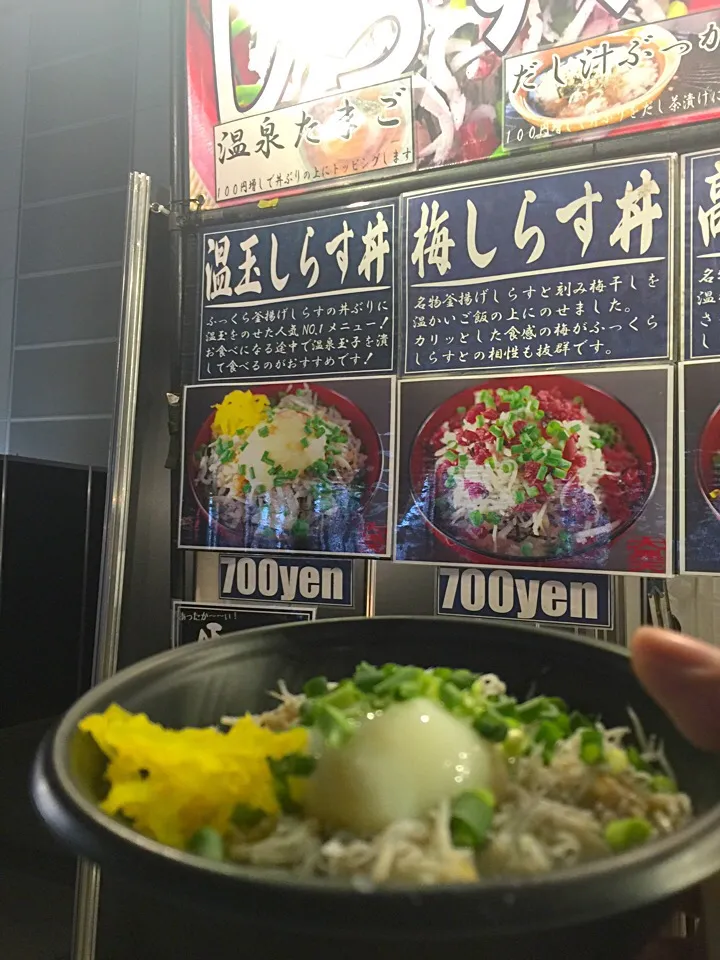 Snapdishの料理写真:しらす丼|Kazuya Kobe Awanoさん