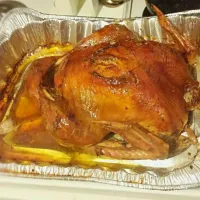 Thanksgiving Turkey|Ashley F. Jonesさん