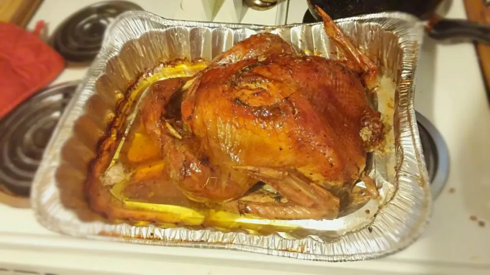 Thanksgiving Turkey|Ashley F. Jonesさん