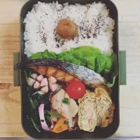 Snapdishの料理写真:☆ダンナ弁当☆  ☺︎焼き鮭  ☺︎ウィンナー  ☺︎ほうれん草のお浸し  ☺︎煮物  ☺︎卵焼き  ☺︎プチトマト|Naaさん