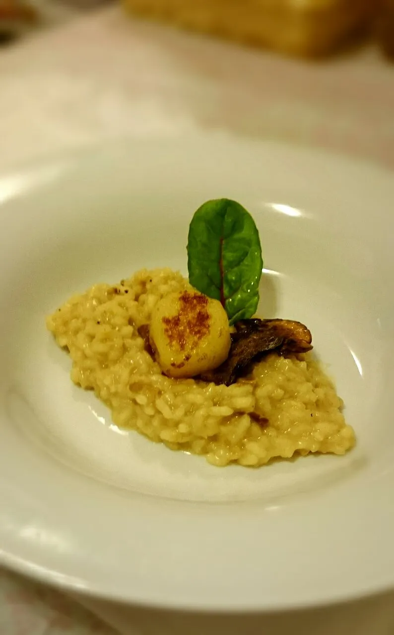 Risotto with Porcini Mushrooms and Scallop|Comelさん