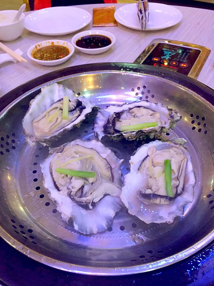 Steamed Oysters|willklhさん