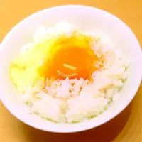 卵かけご飯|椛さん