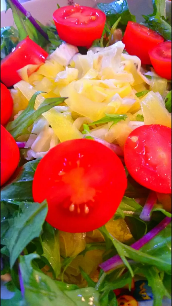 サラダ人参❇キャベツの水菜サラダ🍀ミニトマトを彩りに🍅|メイメイda.さん