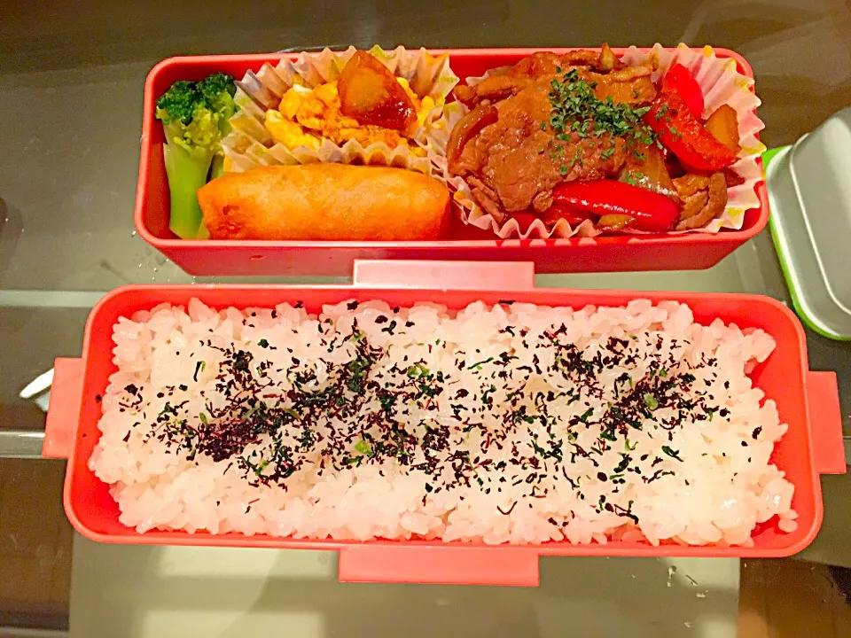 11/30 お弁当|えこさん