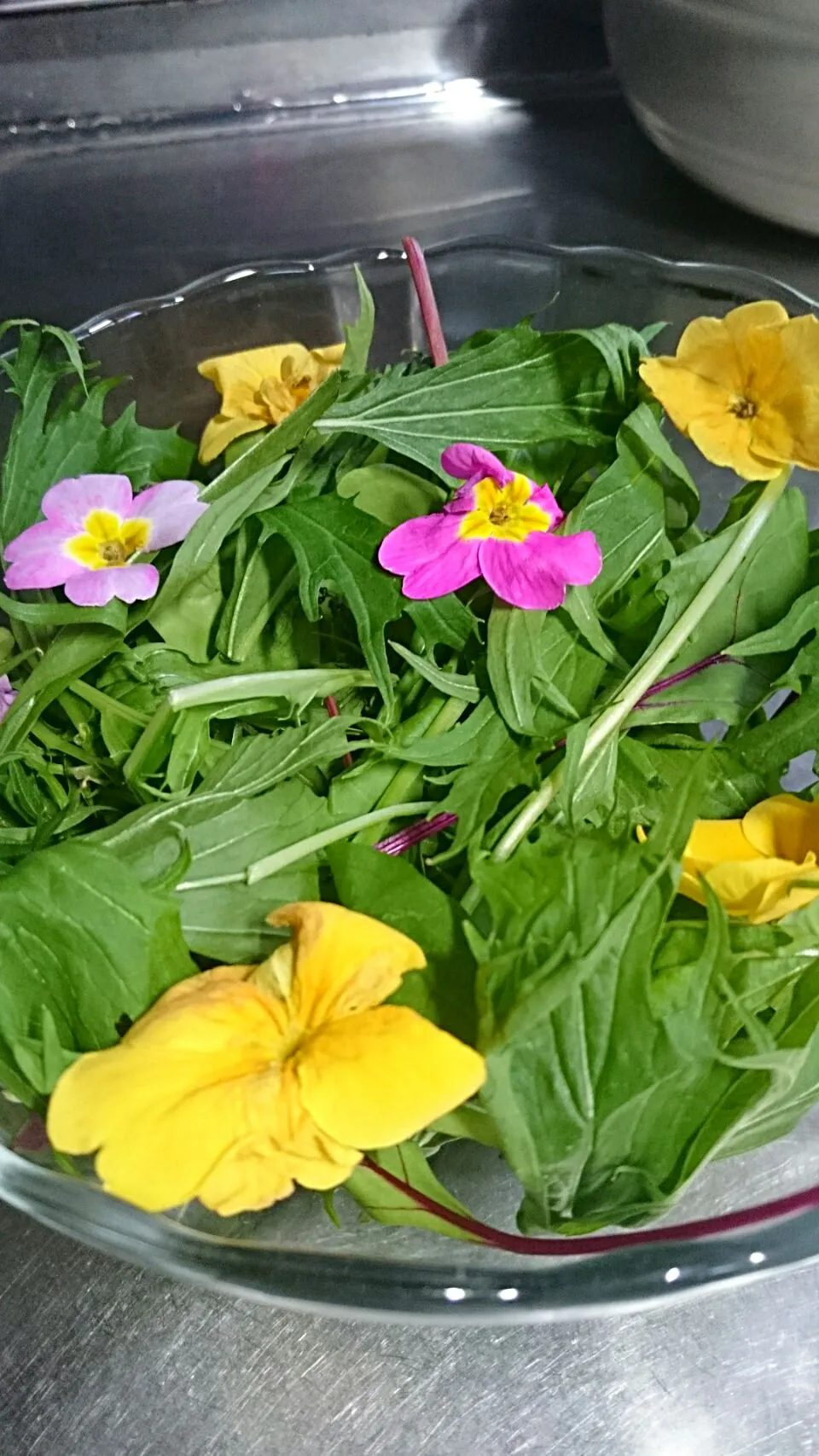 Snapdishの料理写真:ベビーリーフサラダ🌿🌿 食用花トッピング🌼🌼🌼|Noriko🍝🍴🍩さん