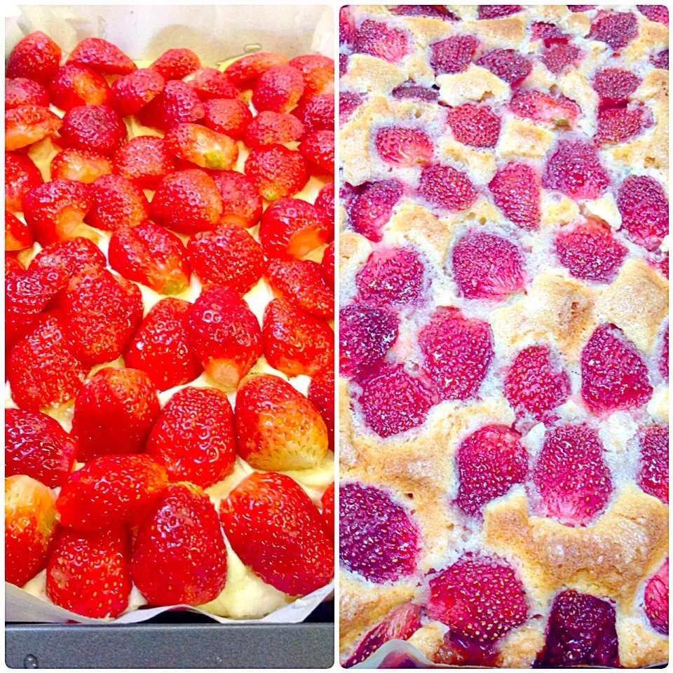 Strawberries Cake🍓|🍃aeyafternoon🌾さん