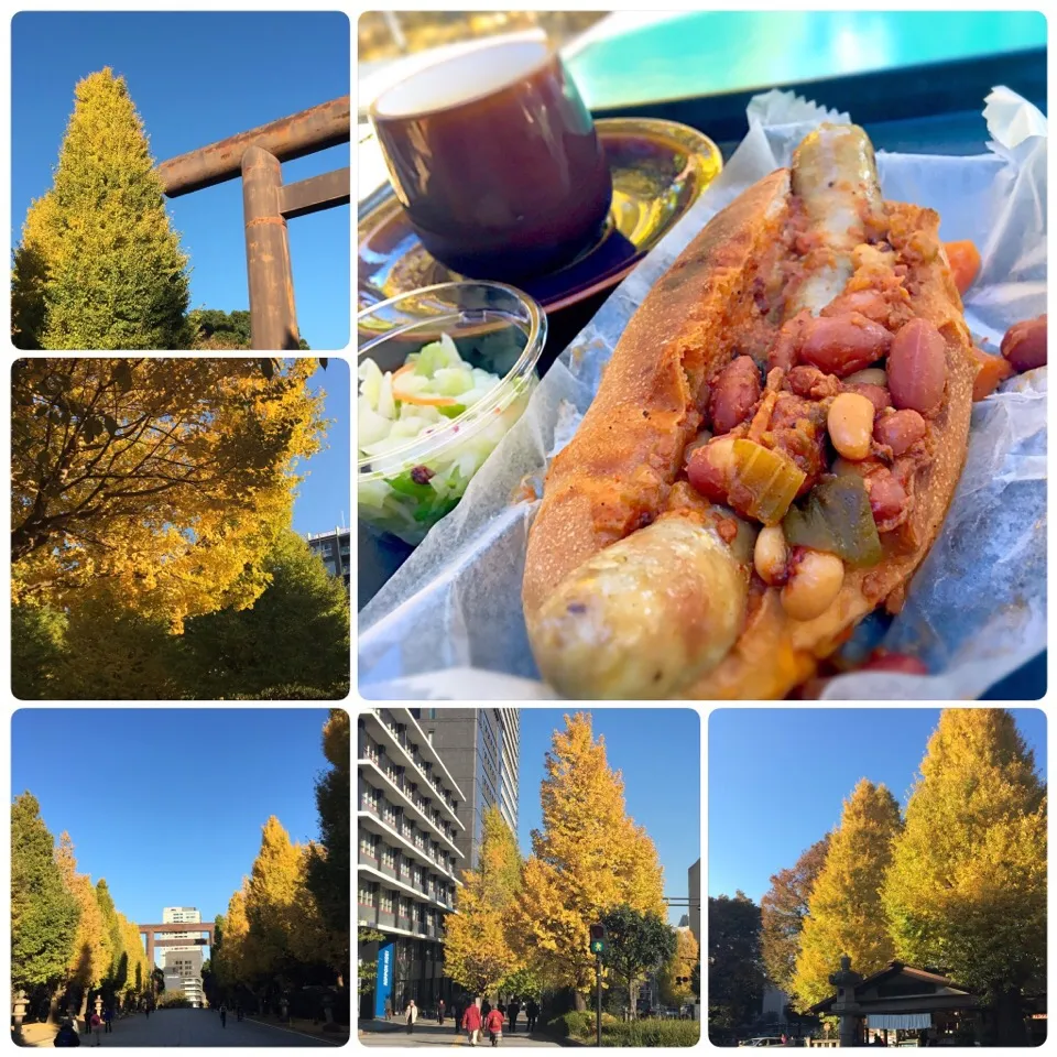 Snapdishの料理写真:本日快晴、青空ランチ|佐倉さん