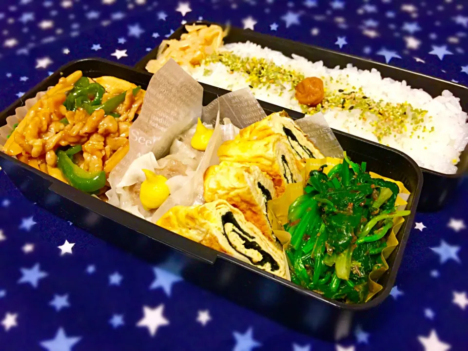 🍱本日のパパ弁当🍱|scandimikanさん