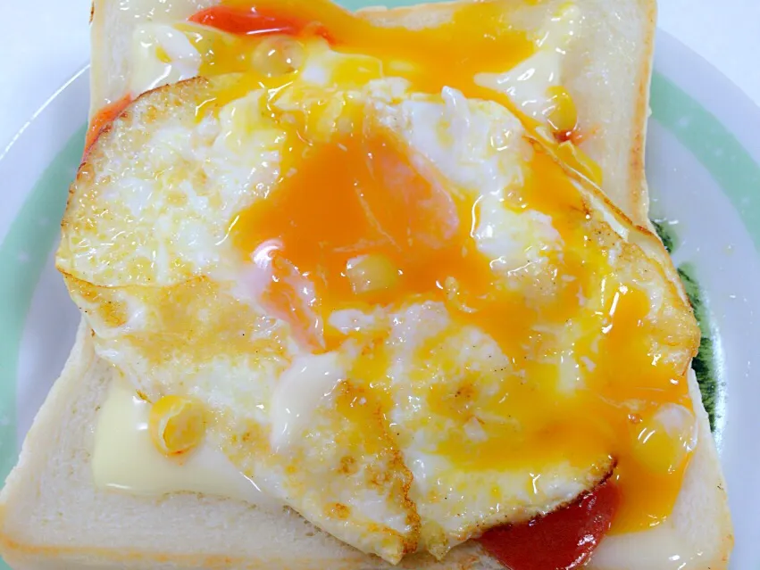 Snapdishの料理写真:Roti bakar egg😍|yuriziさん