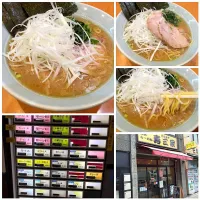 Snapdishの料理写真:ラーメン並|hnyk75さん