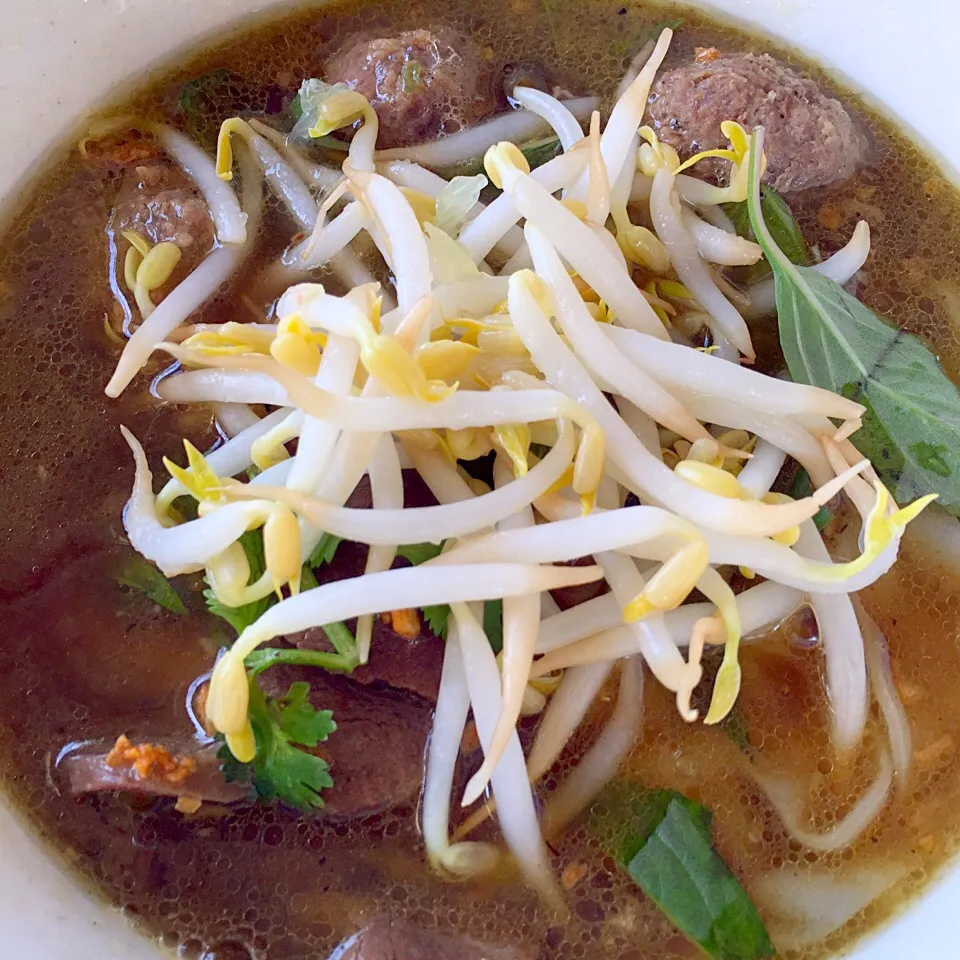 Snapdishの料理写真:Vietnamese Pho topped with bean sprouts, basil, coriander|Phillis L Boedigheimerさん