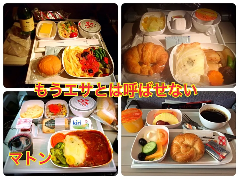 エミレーツ航空の機内食 ドバイでトランジットしたから4回分😋完食！何を食べてもハズレなし👍|佐野未起さん