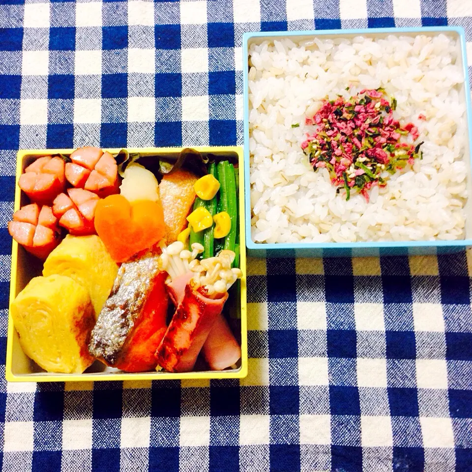 普通のお弁当（麦ごはん）|みくみく弁当さん