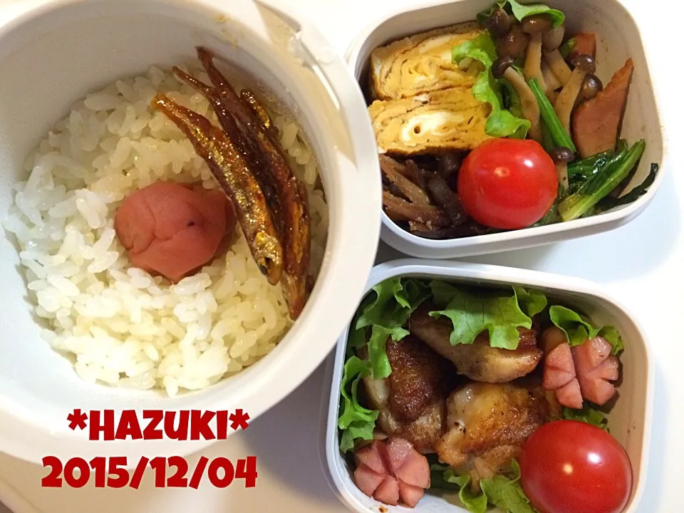 Snapdishの料理写真:12月4日(金) 高校生息子①弁当🍱|Hazukiさん