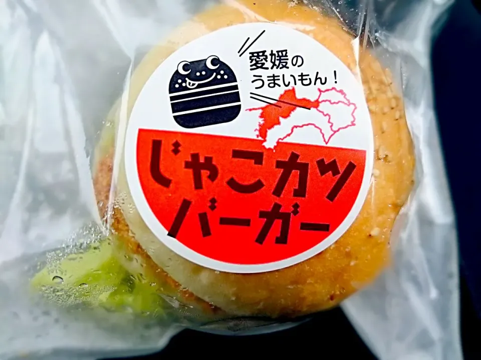 サービスエリアで買った じゃこカツバーガー🍔♪|yokoさん