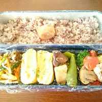 今日のお弁当|ITADAKINOKOさん