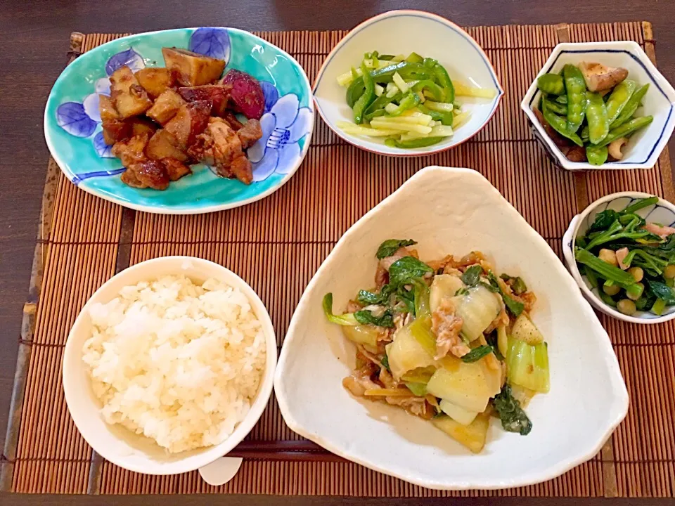 Snapdishの料理写真:豚肉と青梗菜の生姜炒め   サツマイモとチキンのガリバター   ピーマンとジャガイモの塩きんぴら   椎茸と絹さやの炒め物   ほうれん草とスパムと豆の炒め物|NAKATAさん