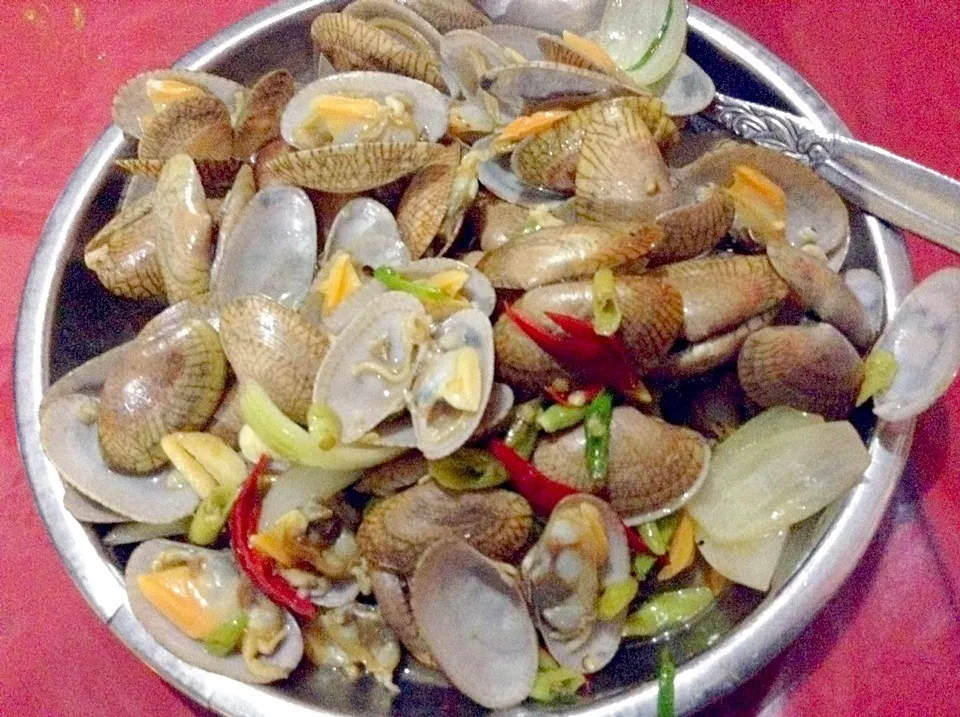 Kerang Cabe|Bambang Budiono Tjioさん