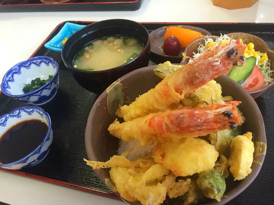 #2015あまくさ丼丼フェア #24 天草車えび天丼|神力屋 火酒さん