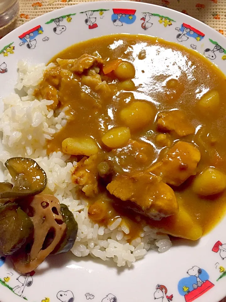 チキンカレー 手作り福神漬け|掛谷節子さん