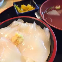 Snapdishの料理写真:イカ刺し丼|つよぽんさん