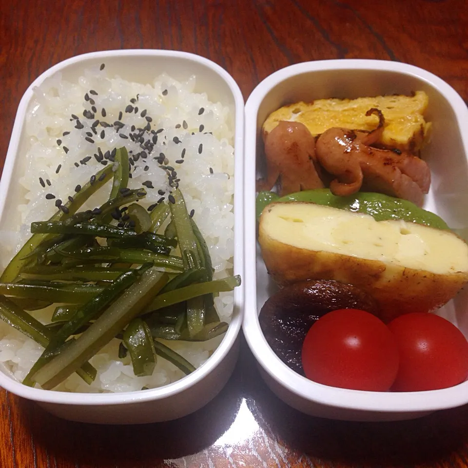 Snapdishの料理写真:12/7のお弁当|どくきのこさん