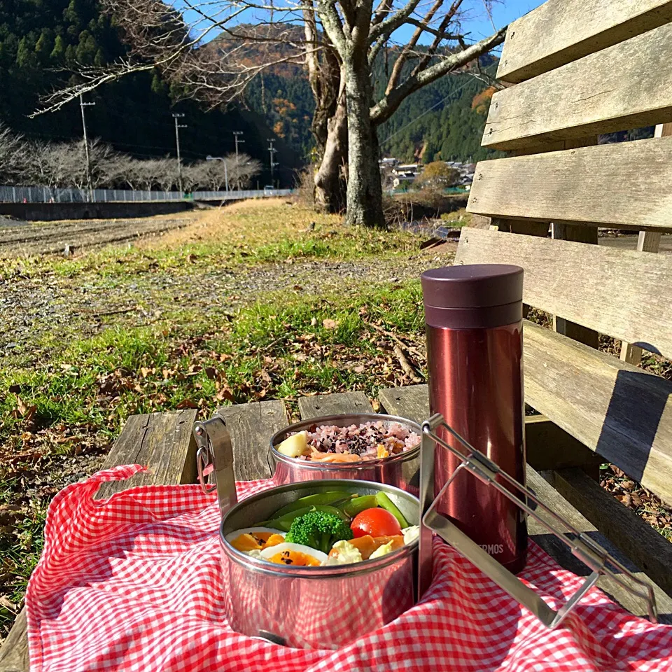 ピクニック・ランチ♬ (▰˘◡˘▰)☝︎|Yoshinobu Nakagawaさん