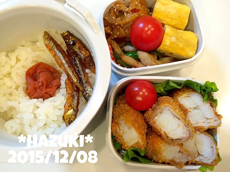 Snapdishの料理写真:12月8日(火) 高校生息子弁当🍱🍱|Hazukiさん