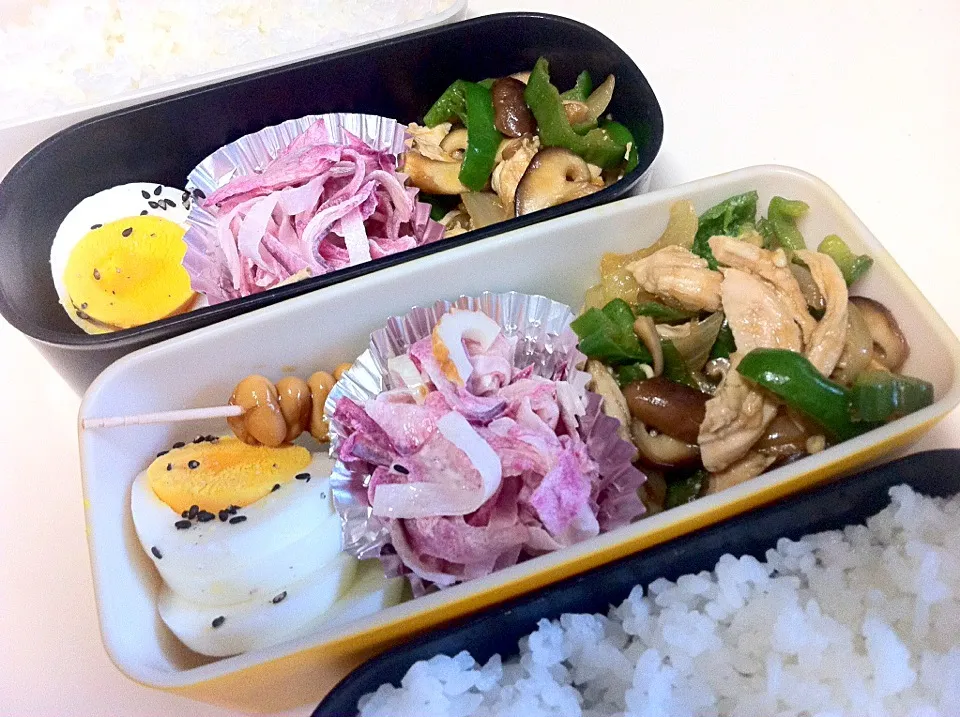 今日のお弁当  12月8日（火）|まきしゅさん