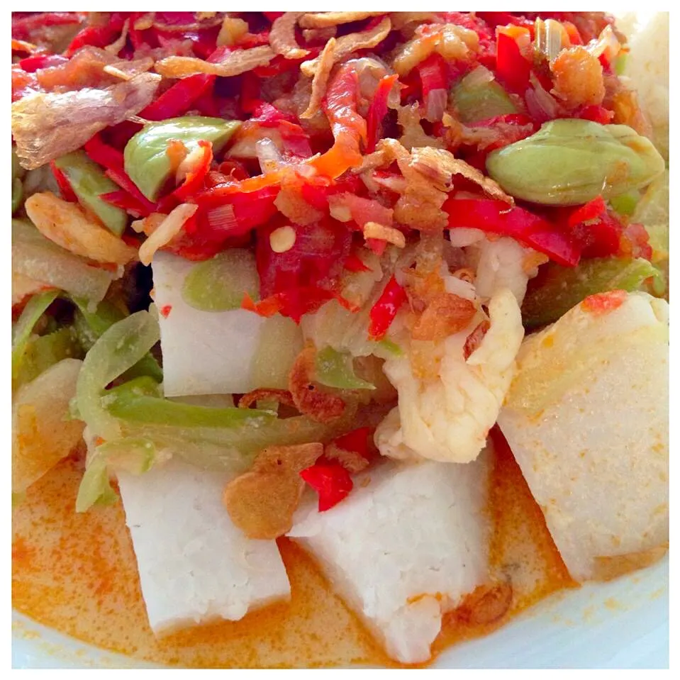 "Lontong Sayur ala Benteng"😋  Recipe from my old generation.|Tari's Kitchenさん