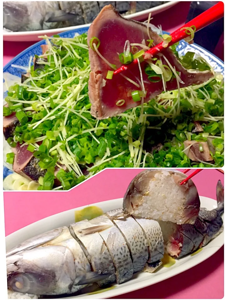 鰹🐟のたたきと鯖寿司🐟  ❥᷁)͜͡˒ ⋊|ロコタンさん