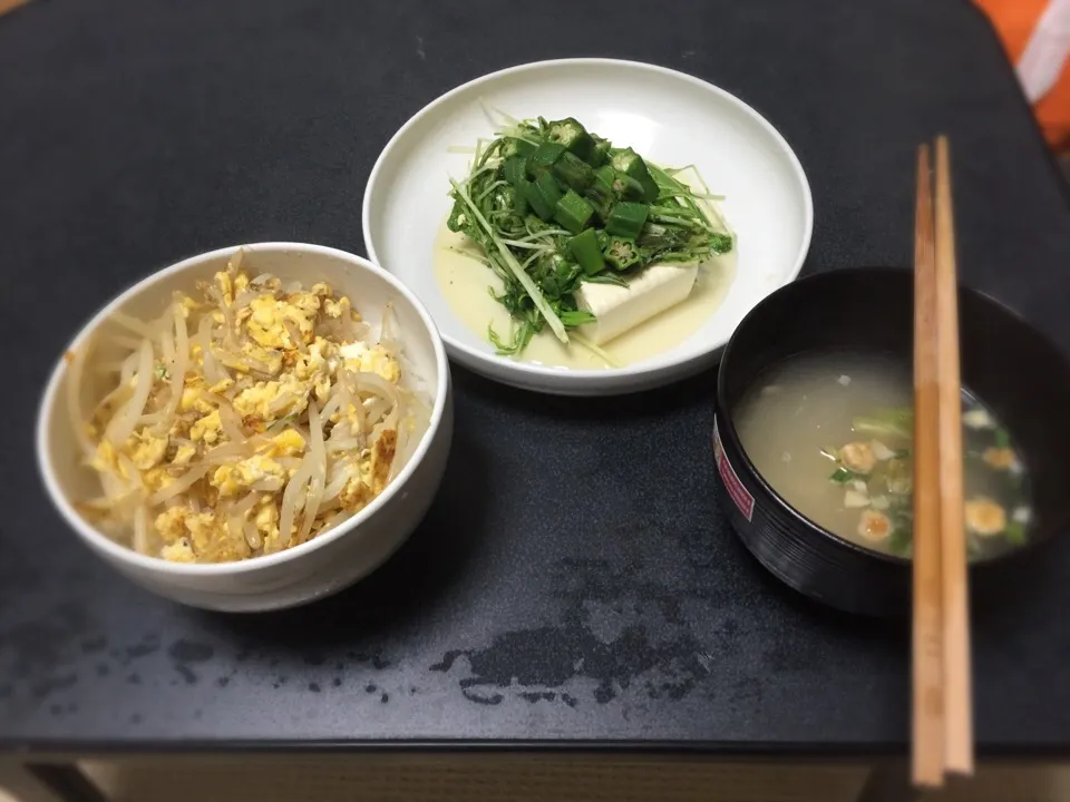 もやし丼
豆腐サラダ|＼(^o^)／さん