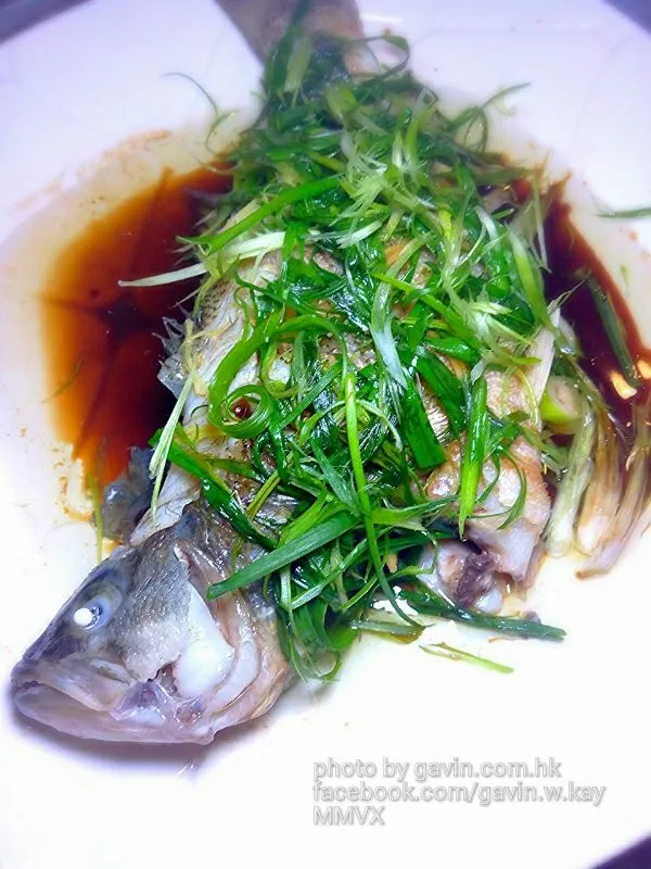 Snapdishの料理写真:【 Steamed perch with ginger and scallion 】|Gavin Wong (香港の人々)さん