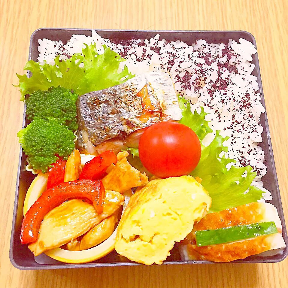 今日のお弁当|naruさん